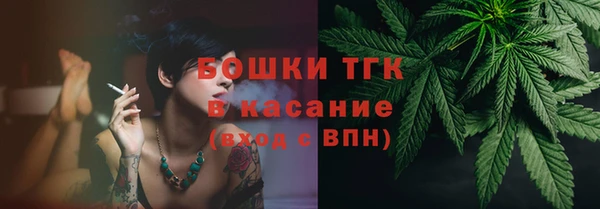 хмурый Осинники