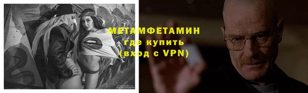 хмурый Осинники