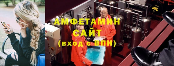 хмурый Осинники