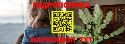 сатива Берёзовский