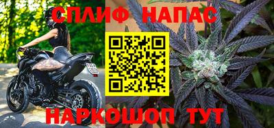 хмурый Бийск
