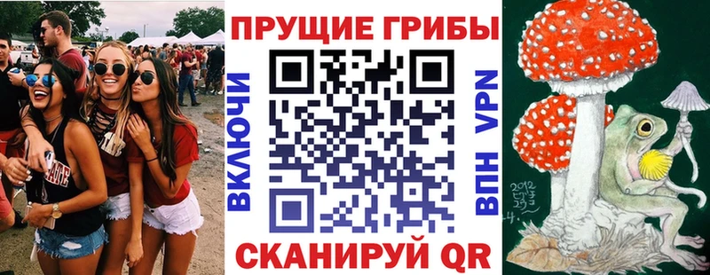 OMG зеркало Бугуруслан Галлюциногенные грибы мухоморы наркошоп