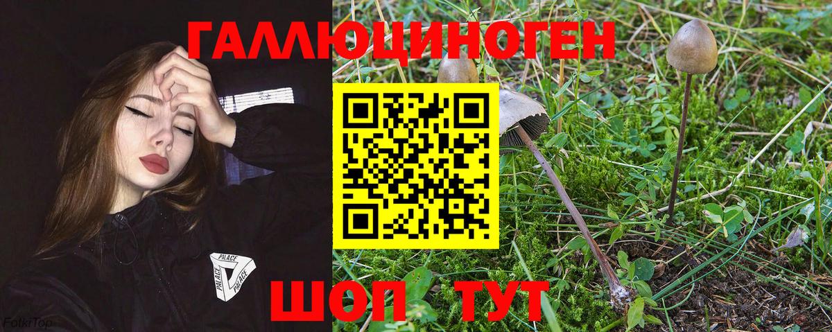 Бугуруслан  Псилоцибиновые грибы Psilocybine cubensis  Вход с VPN  Псилоцибиновые грибы мицелий 